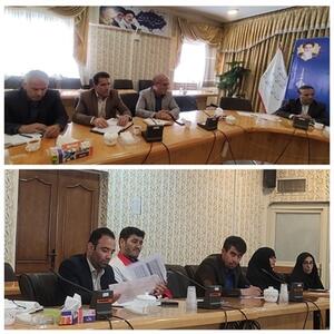 برگزاری دومین جلسه کمیته تخصصی ستاد ساماندهی امور جوانان در شهرستان اسدآباد