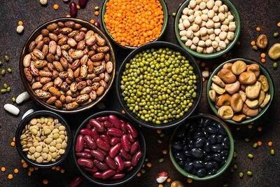 منابع گیاهی غنی از پروتئین را بشناسید