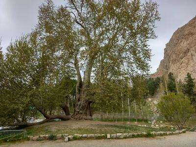 تدوین پرونده ثبت ملی ۸ میراث طبیعی کرمانشاه