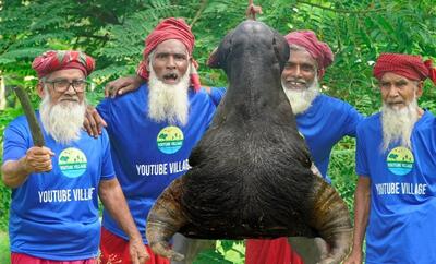 پخت کله پاچه بوفالوی آبی به روش 4 پدربزرگ روستایی 70 ساله هندی (فیلم)