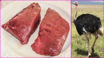 خواص باور نکردنی گوشت شترمرغ