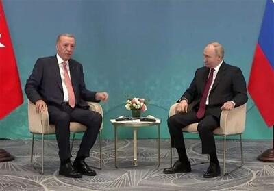 اردوغان: به همکاری هسته‌ای روسیه و ترکیه ایمان دارم