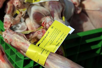 توزیع گوشت گرم تنظیم بازار در زنجان