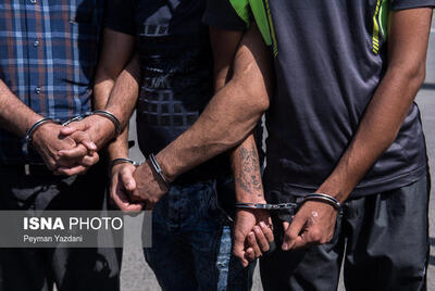 دستگیری اعضای باند سارقان احشام در گتوند