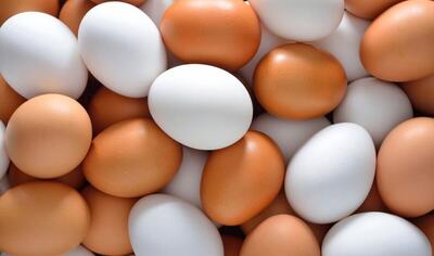 امروز ۱۳ تیر؛ قیمت انواع تخم مرغ در بازار روز چند شد؟