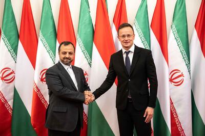 Iran calls for boosting political, economic ties with Hungary