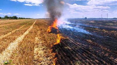 پافشاری کشاورزان بر یک سنت غلط | جهاد کشاورزی نظاره گر سوزاندن سرمایه ملی است