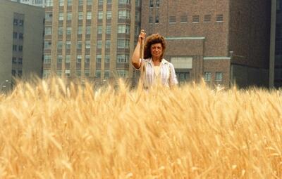 اقدام اعتراضی زن روستایی در نیویورک با کاشت گندم | تبدیل محل دفن زباله به گندم زار طلایی