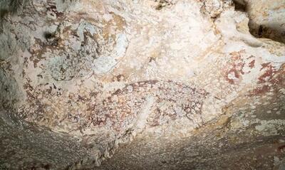 قدیمی‌ترین غارنگاره جهان کشف شد +عکس