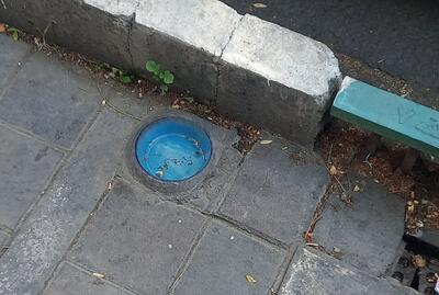 کاسه آب دائمی ؛ ابتکار نیکوکارانه در خیابان | ببینید