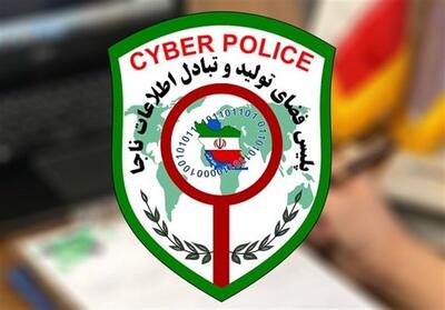 نظارت ویژه پلیس بر رفتارهای انتخاباتی در فضای سایبری - تسنیم