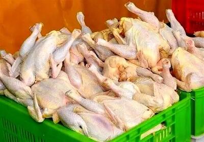 بازار در انتظار گرانی مجدد مرغ؟