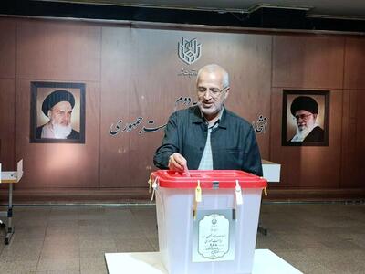 رئیس ستاد انتخابات کشور رای داد