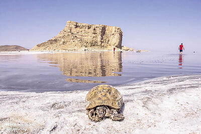 افزایش 4 برابری حجم آب دریاچه ارومیه نسبت به مهرماه گذشته