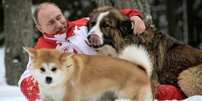 ماجرای سگ آلابای رئیس جمهور روسیه | ولادیمیر پوتین عاشق سگ چوپانش است | رویداد24