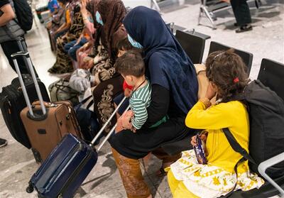 آلمان خلاف تعهد قبلی به پناهجویان افغان پاسخ رد داد - تسنیم