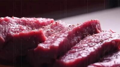 فرآیند ساخت گوشت گیاهی چگونه است؟ + ویدئو
