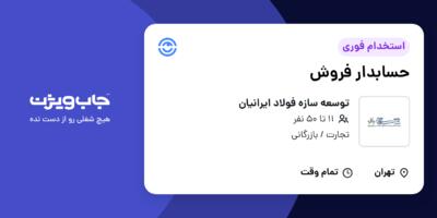 استخدام حسابدار فروش در توسعه سازه فولاد ایرانیان