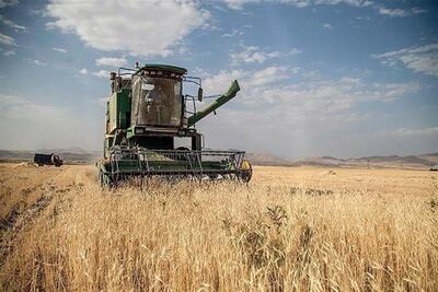 ۸۲ هزار تن گندم از کشاورزان مازندران خریداری شد