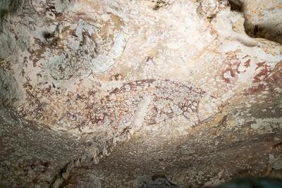 قدیمی‌ترین غارنگاره جهان کشف شد؛ نقاشی سه انسان و یک گراز با قدمت 51 هزار سال