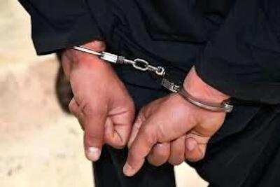 دستگیری عوامل خرابکاری در دشتستان