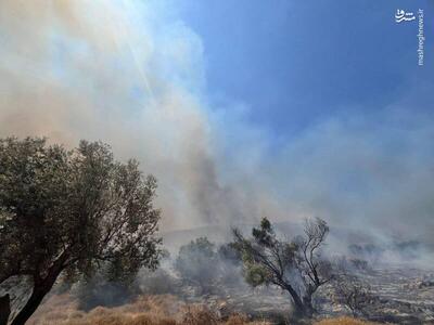 عکس/ آتش سوزی گسترده در فلسطین اشغالی