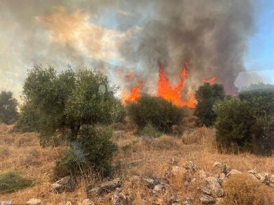 آتش‌سوزی گسترده در شمال فلسطین اشغالی پس از حمله حزب‌الله