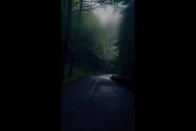 جاده جنگلی زیبای دالیخانی