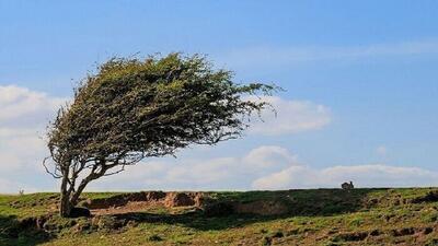 تداوم وزش باد‌های جنوبی در استان قزوین