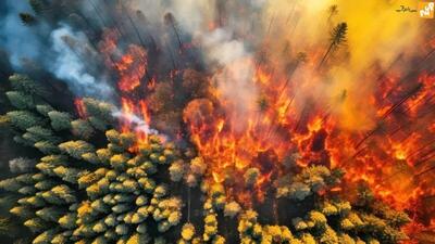 آتش‌سوزی بزرگ در پارک ملی کرخه پس از ۱۶ ساعت مهار شد