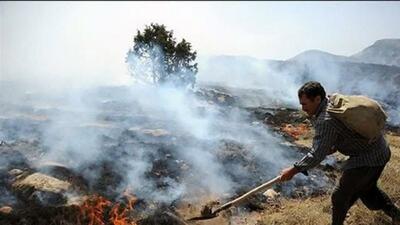خاکستر شدن ۲۶۰۰ هکتار از جنگل‌های لرستان | اقتصاد24