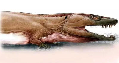(عکس) کشف یک هیولای عجیب ۲۸۰ میلیون ساله در اعماق صحرای نامبیا