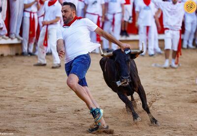 (تصاویر) هیجان دویدن با گاو‌های نر در جشنواره سن فرمین