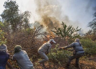 مهار آتش‌سوزی پارک ملی کرخه که دوباره شعله ور شده بود + جزئیات