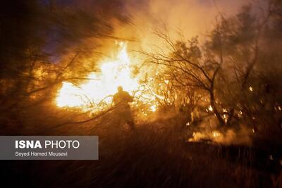 وقوع آتش‌سوزی‌ بسیار گسترده در پارک ملی کرخه/ مهار آتش پس از ۱۶ ساعت