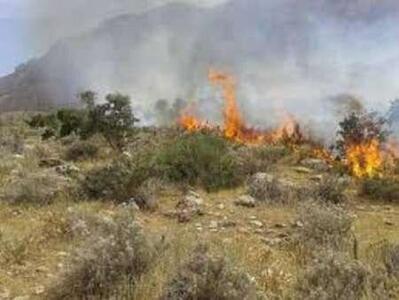 آتش‌سوزی جنگل‌ها و مراتع « کوه پهن» گچساران مهار شد