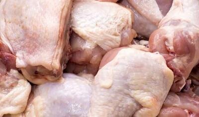 صادرات مرغ به بیش از ۱۱ هزار تن رسید
