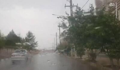 فیلم/ بارش باران تابستانه در شیراز