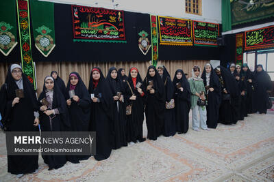 مسؤولان استان بوشهر از مردم برای حضور در انتخابات تقدیر کردند