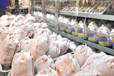 مرغ به سفره ها برگشت | کاهش قیمت مرغ در بازار  امروز ۱۸ تیر ۱۴۰۳