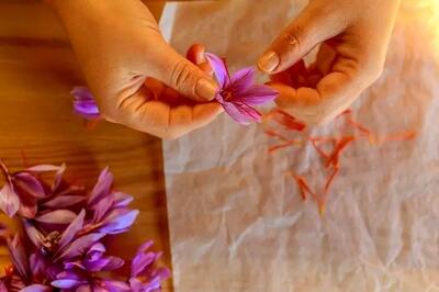 راحت ترین روش خشک کردن زعفران در خانه