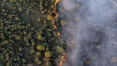 آتش سوزی محدوده زیستگاهی - جنگلی کبیرکوه ایلام مهار شد