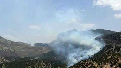 تلاش برای مهار آتش سوزی جنگل های گردکانه شهرستان بدره