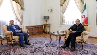 طیب‌نیا با رئیس‌جمهور منتخب دیدار کرد