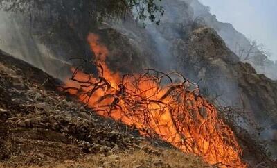 آتش سوزی گسترده در منطقه حفاظت شده «خاییز» کهگیلویه/ نیاز فوری برای کمک