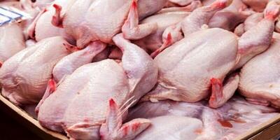 قیمت جدید گوشت مرغ / قیمت گوشت مرغ کیلویی چند؟