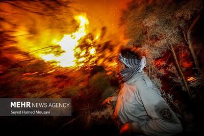 (تصاویر) آتش‌سوزی در پارک ملی کرخه
