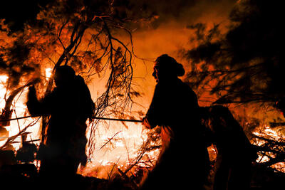 آتش‌سوزی پارک ملی کرخه؛ ۶۵ هکتار از جنگل‌های کرخه در آتش سوخت | تصاویر