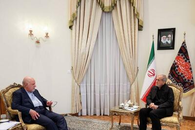 دیدار وزیر اسبق نفت با رئیس جمهور منتخب + عکس