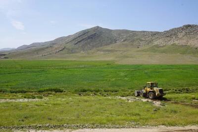 مبارزه با آفات در سطح ۱۳۴ هزار هکتار از مزارع گندم آذربایجان شرقی